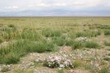 Image of landscape