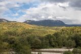 Черногор, image of landscape/habitat.