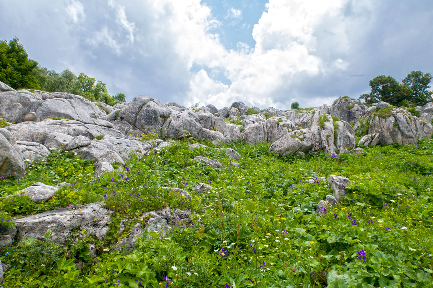 Каменное Море, image of landscape/habitat.