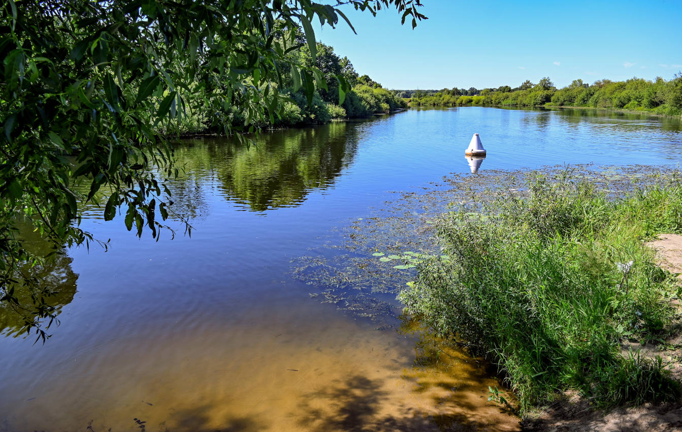 Устье реки Лава, image of landscape/habitat.