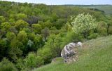 Долина реки Воргол, image of landscape/habitat.