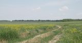 Image of landscape
