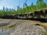 Низовья Лабыи, image of landscape/habitat.