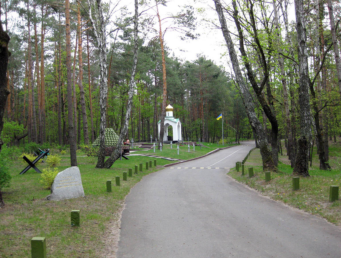 Лесники, боровая часть, изображение ландшафта.