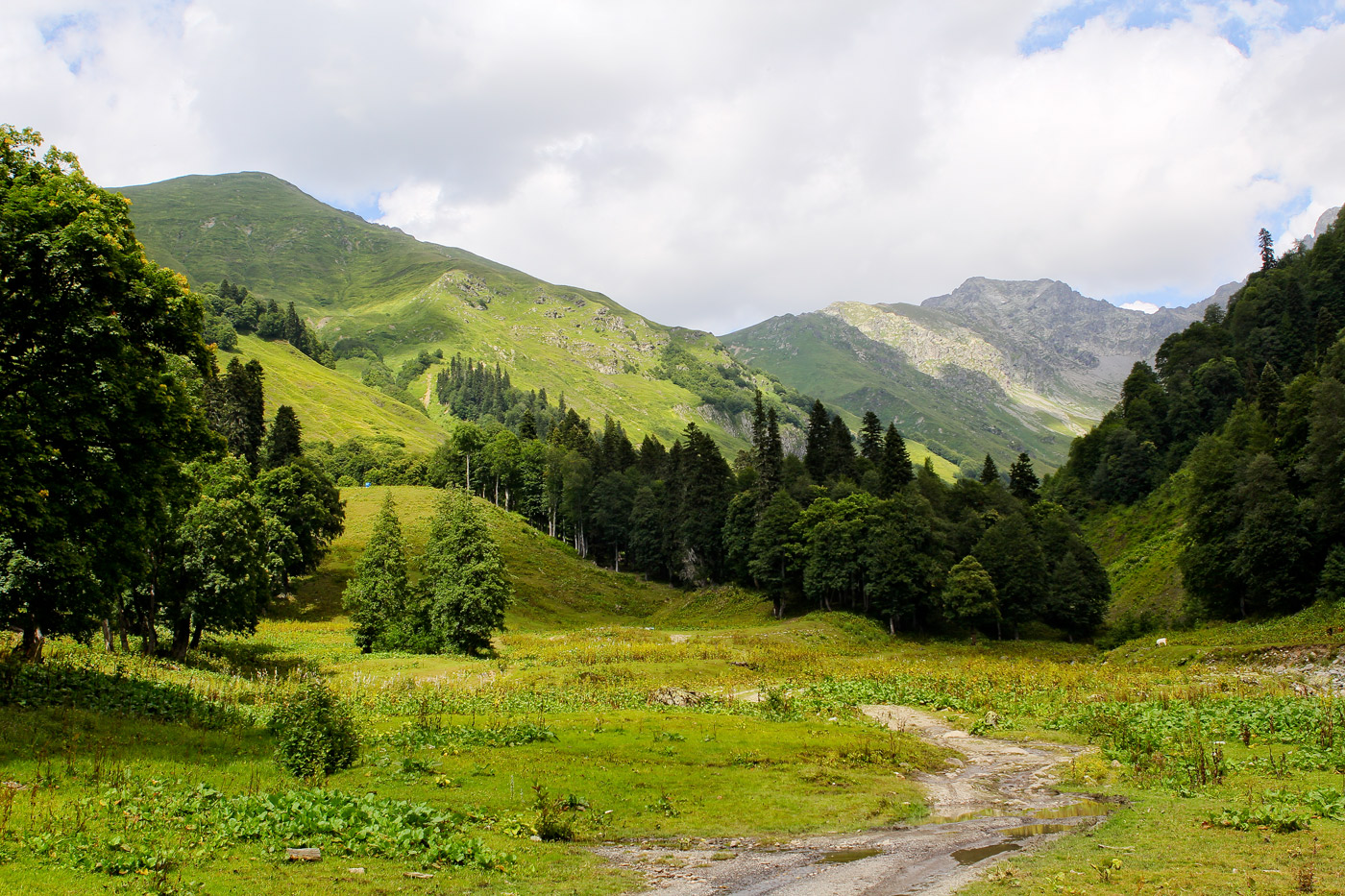 Авадхара (Ауадхара), image of landscape/habitat.