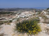 Image of landscape
