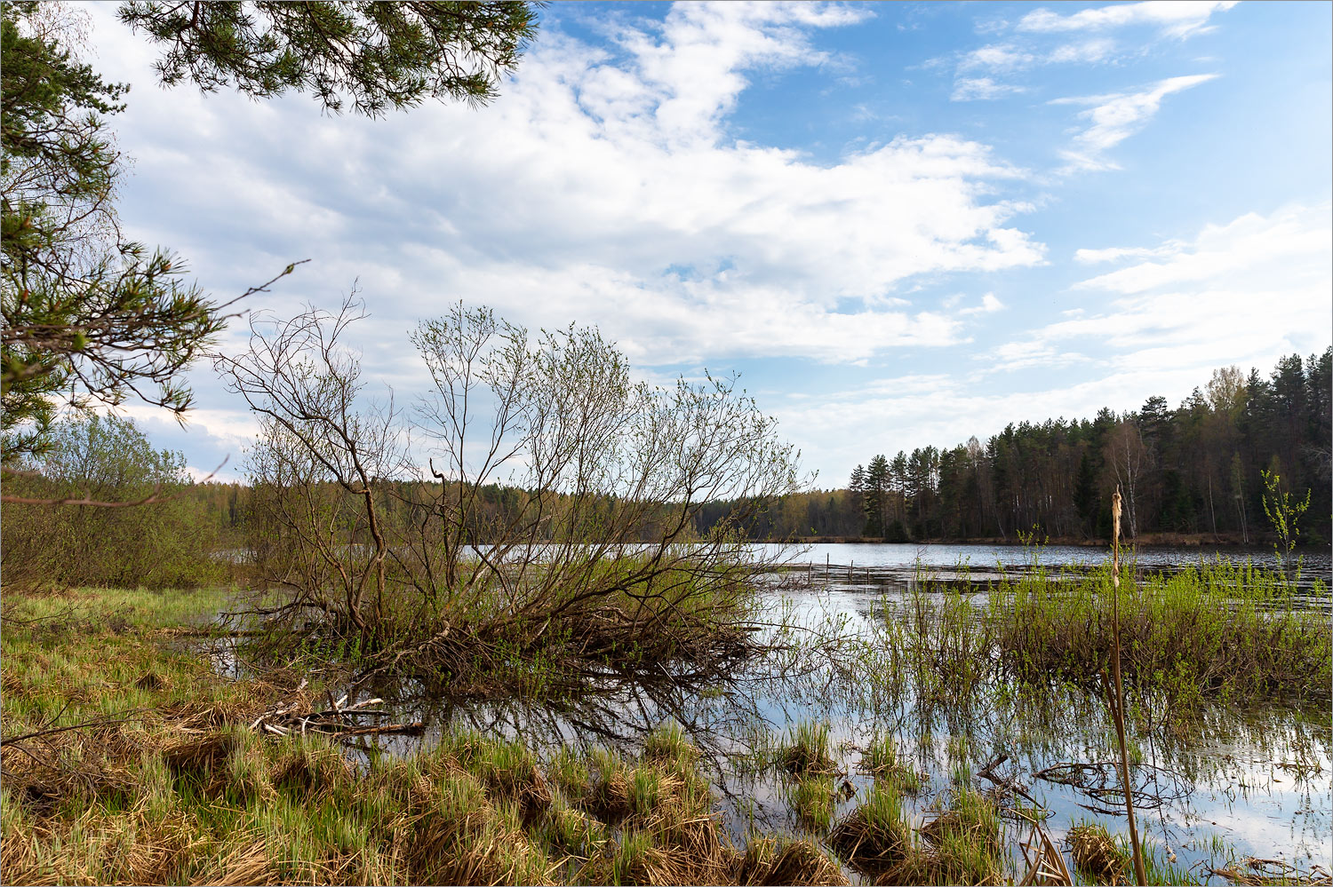 Противье, image of landscape/habitat.