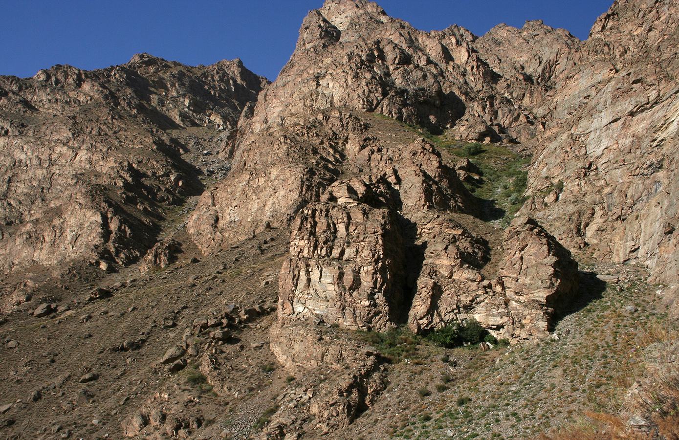 Хорог, image of landscape/habitat.