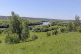 Спасская гора и её окрестности, image of landscape/habitat.