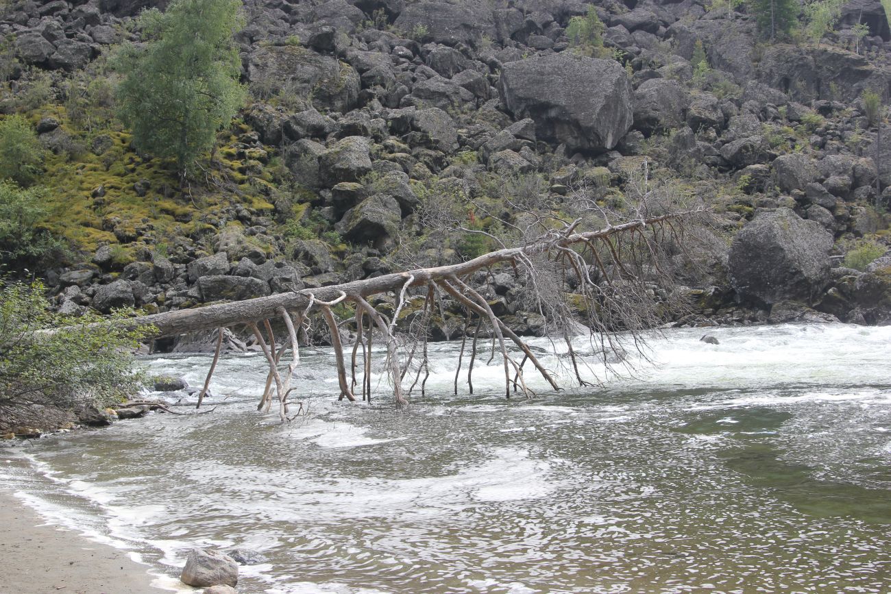 Окрестности водопада Учар, image of landscape/habitat.