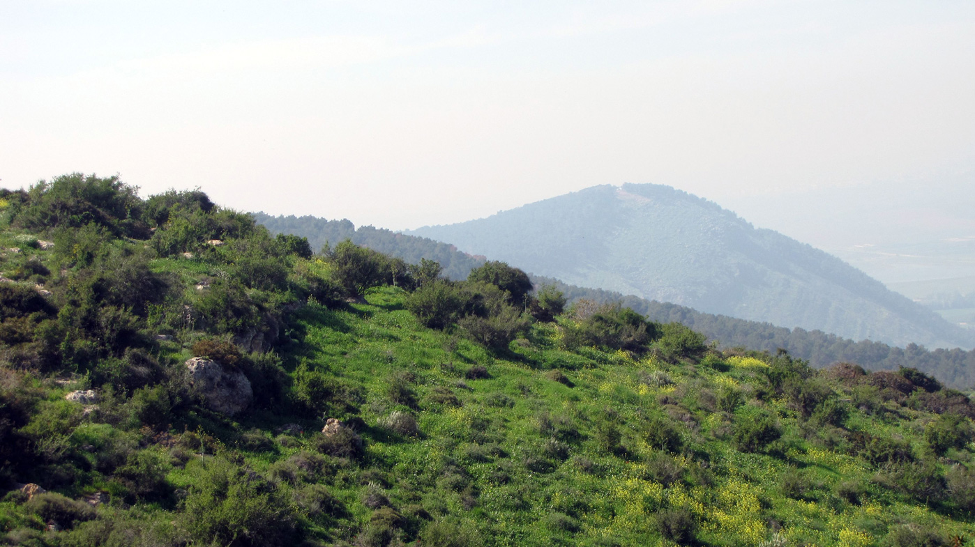 Горы Гильбоа, изображение ландшафта.
