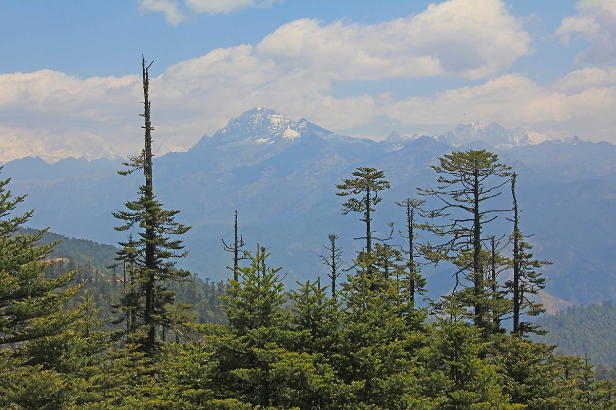 Челела, image of landscape/habitat.