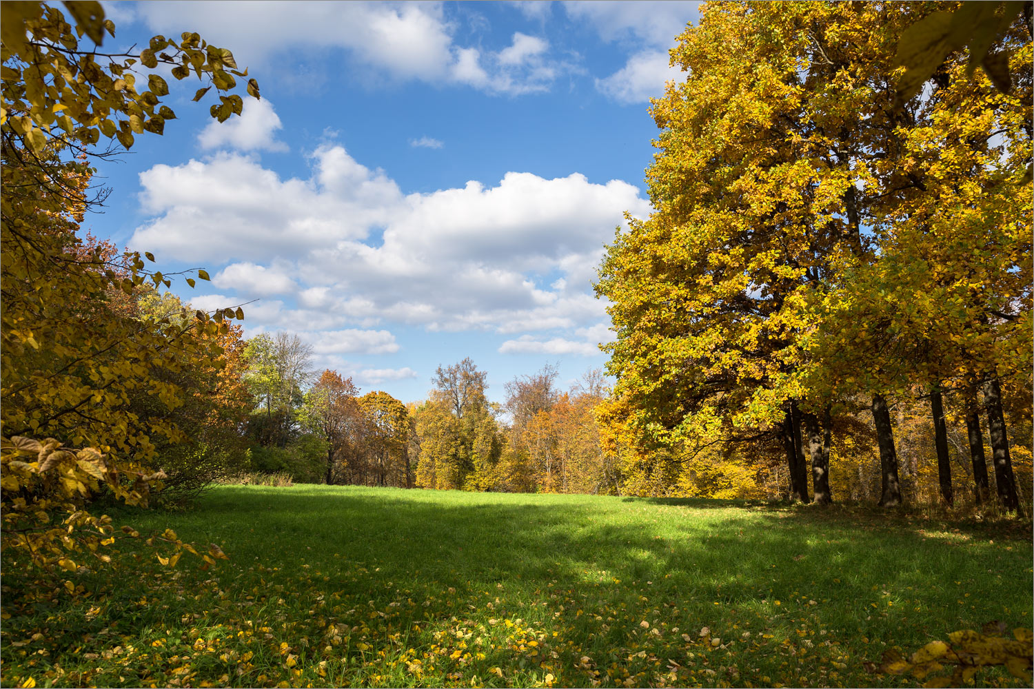 Парк "Сергиевка", image of landscape/habitat.