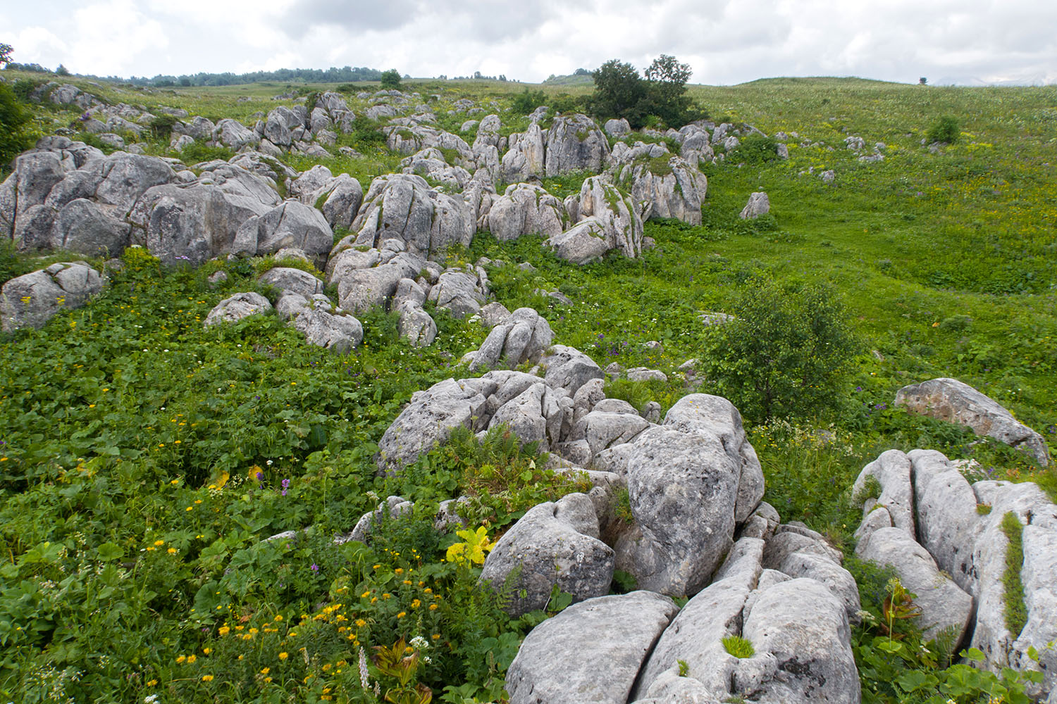 Каменное Море, image of landscape/habitat.