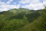 Image of landscape