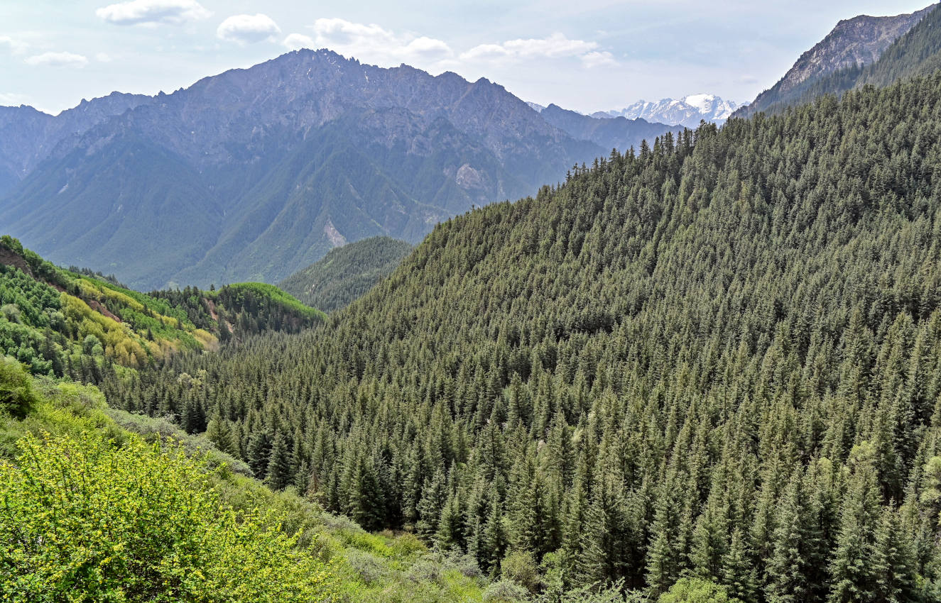 Долина Матисы, изображение ландшафта.