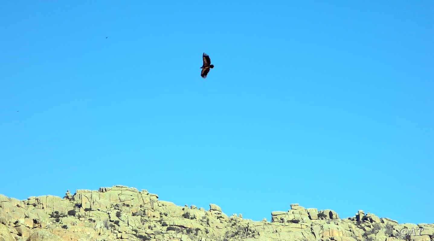 El Yelmo (Эль Ельмо), image of landscape/habitat.