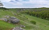 Долина реки Воргол, image of landscape/habitat.