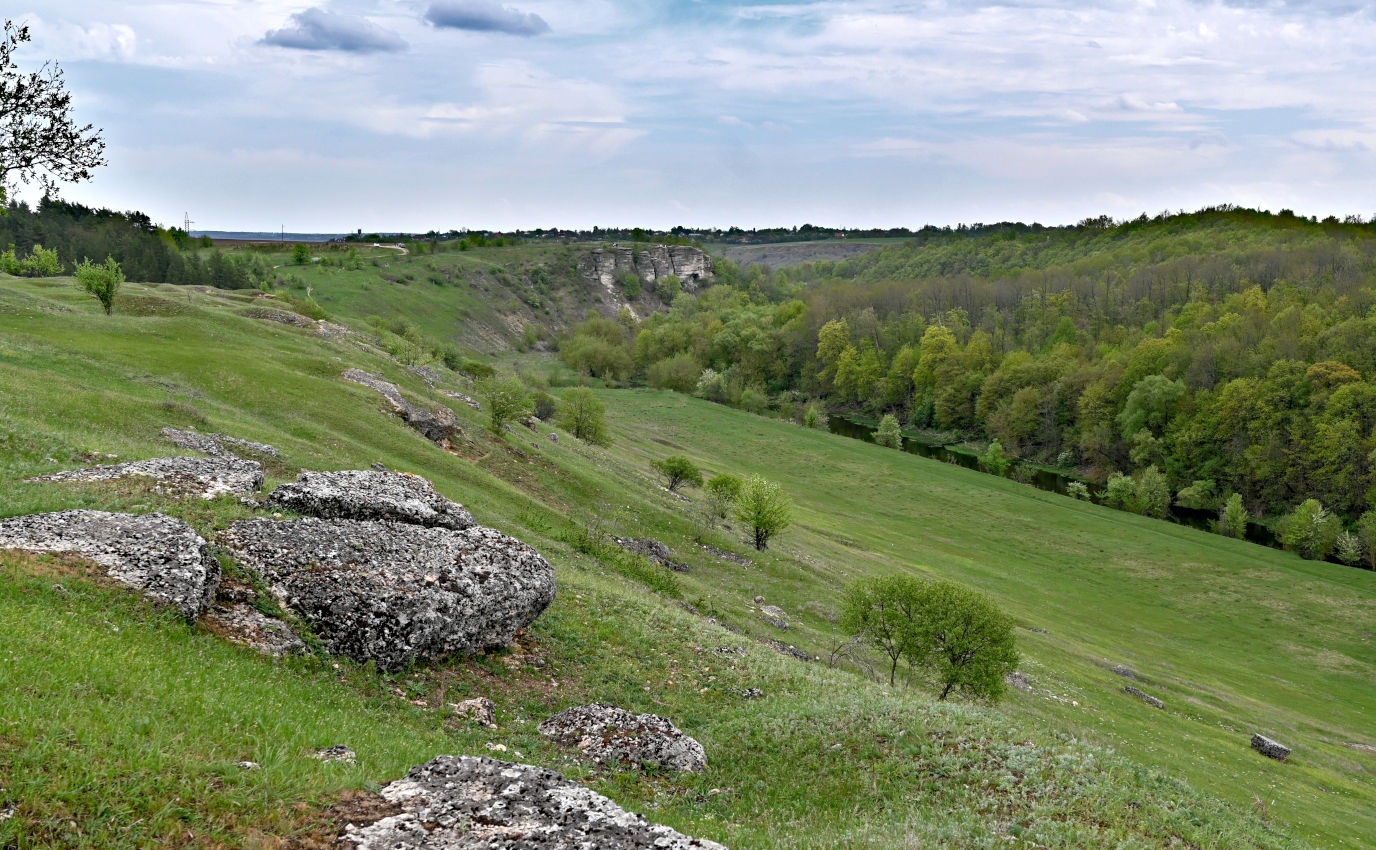 Долина реки Воргол, image of landscape/habitat.