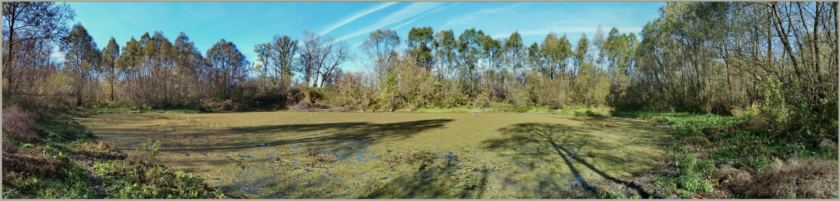 Триозёрье, image of landscape/habitat.