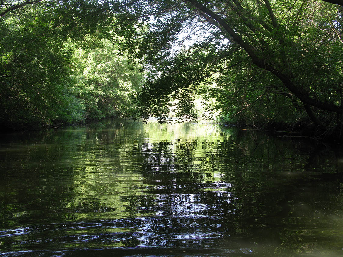 Нижнее течение реки Усожа 1, image of landscape/habitat.