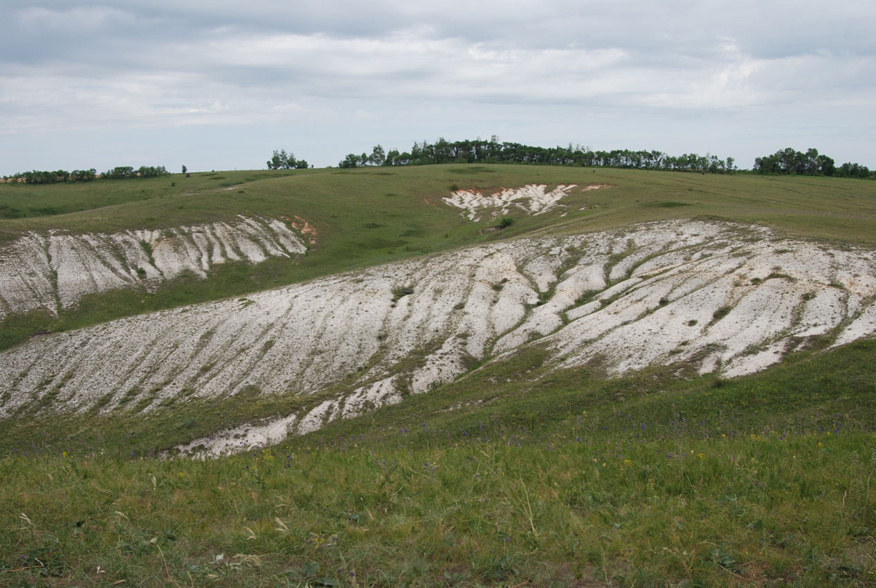 Костомарово, image of landscape/habitat.