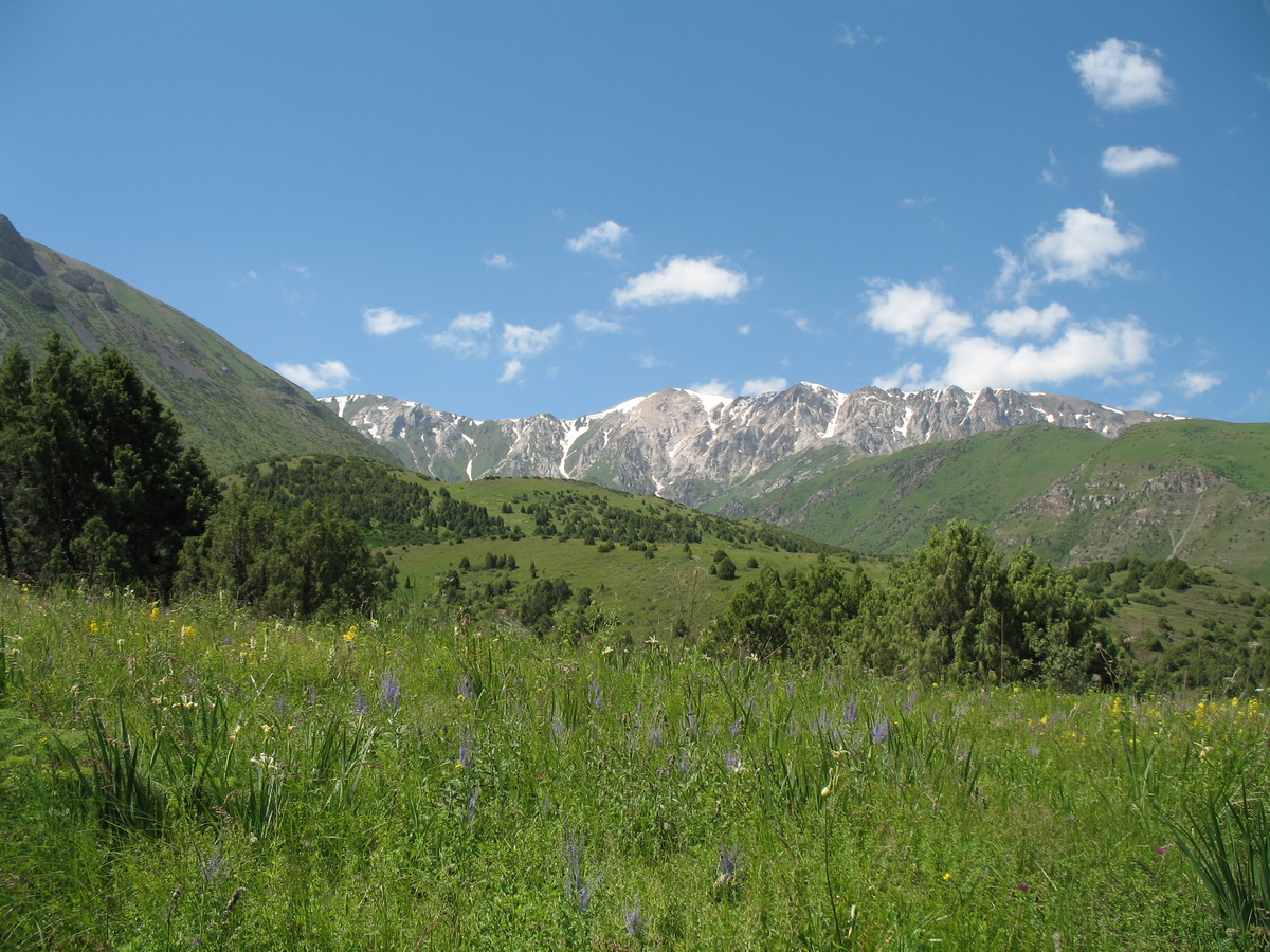 Урочище Кши-Каинды, image of landscape/habitat.