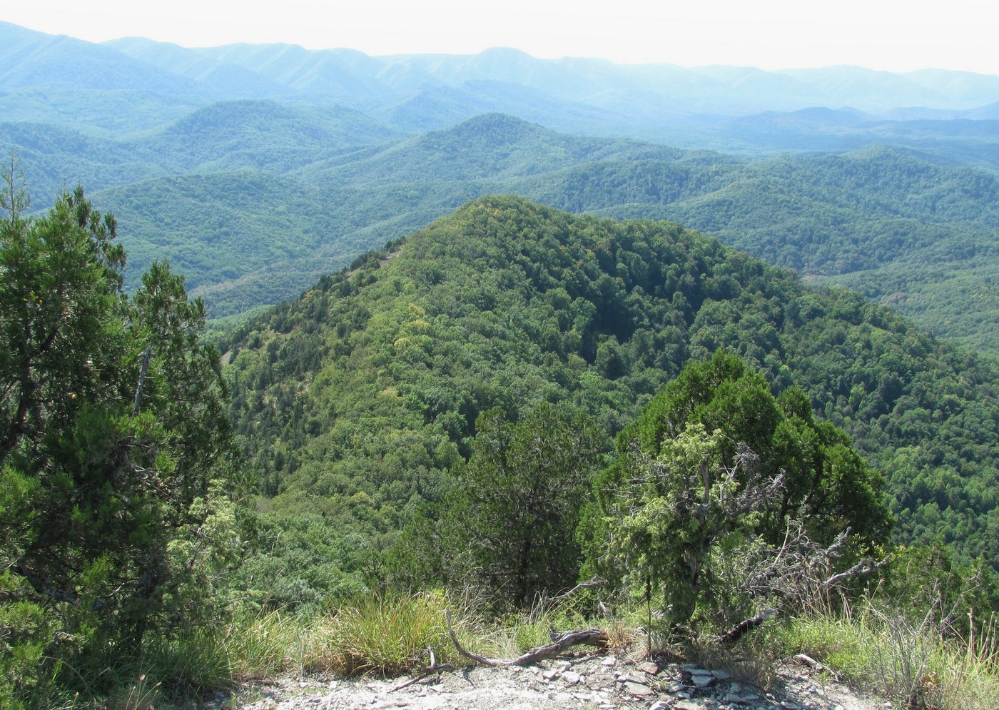 Гора Западный Папай, image of landscape/habitat.