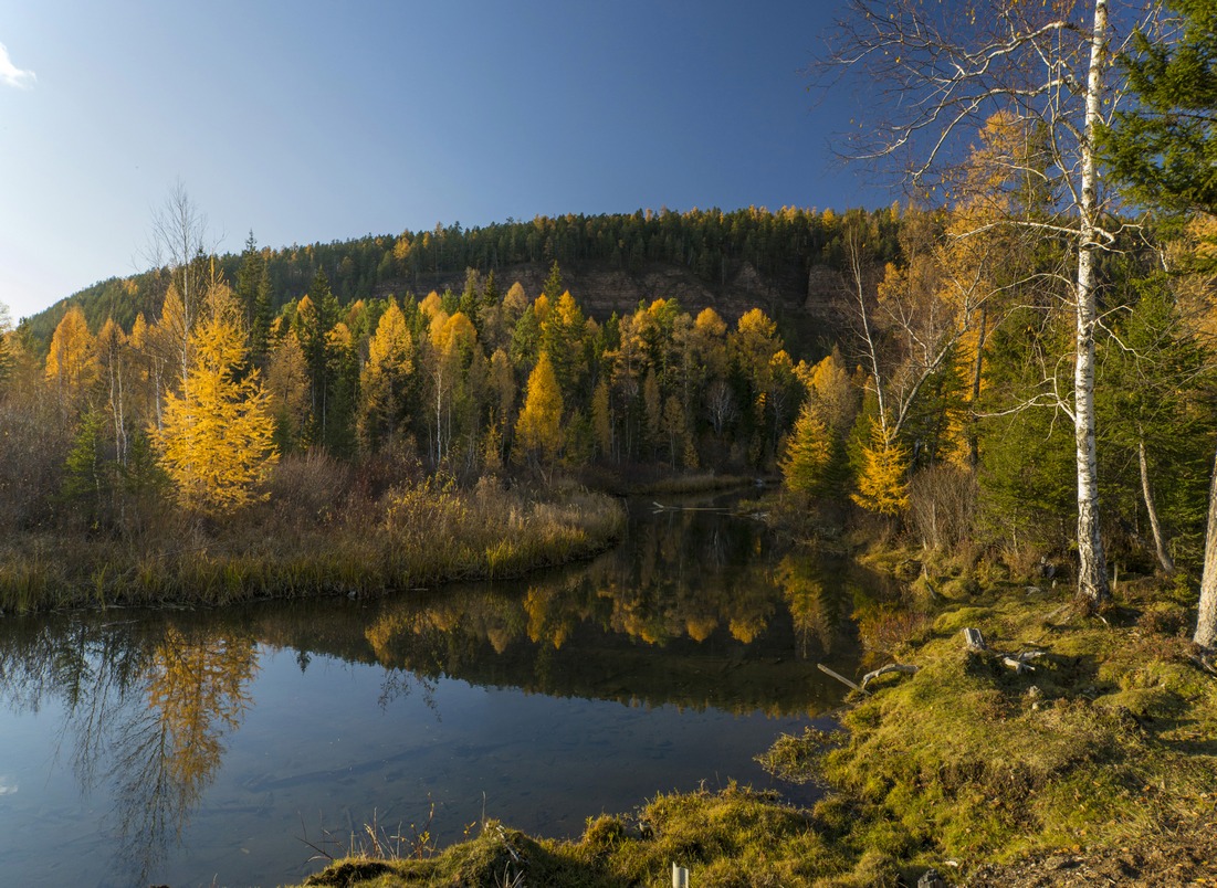 Село Шаманка, изображение ландшафта.