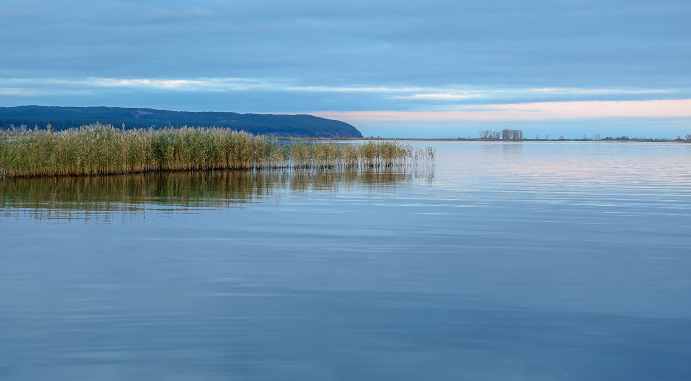 Окрестности села Красный Бор, image of landscape/habitat.