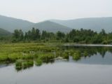 Мыс Шаманский, image of landscape/habitat.