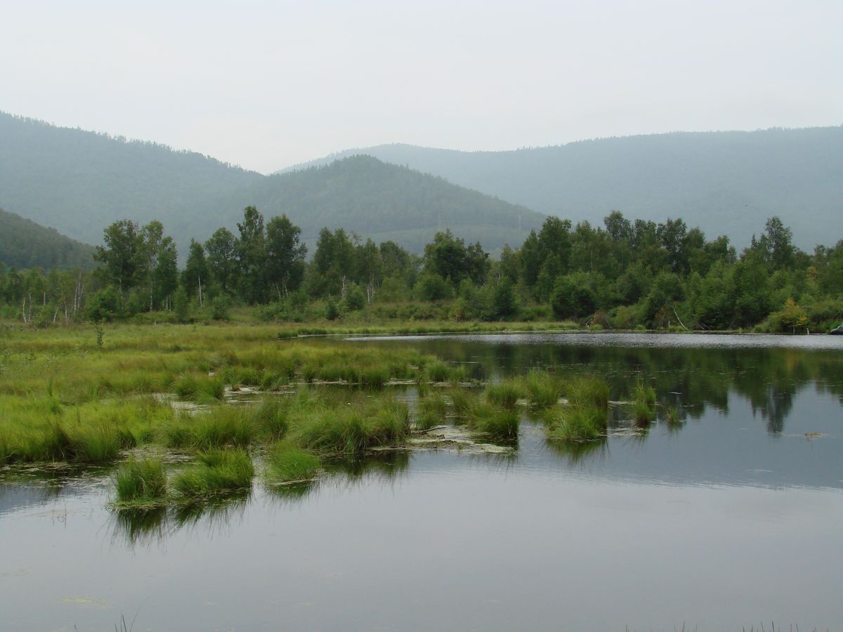 Мыс Шаманский, image of landscape/habitat.