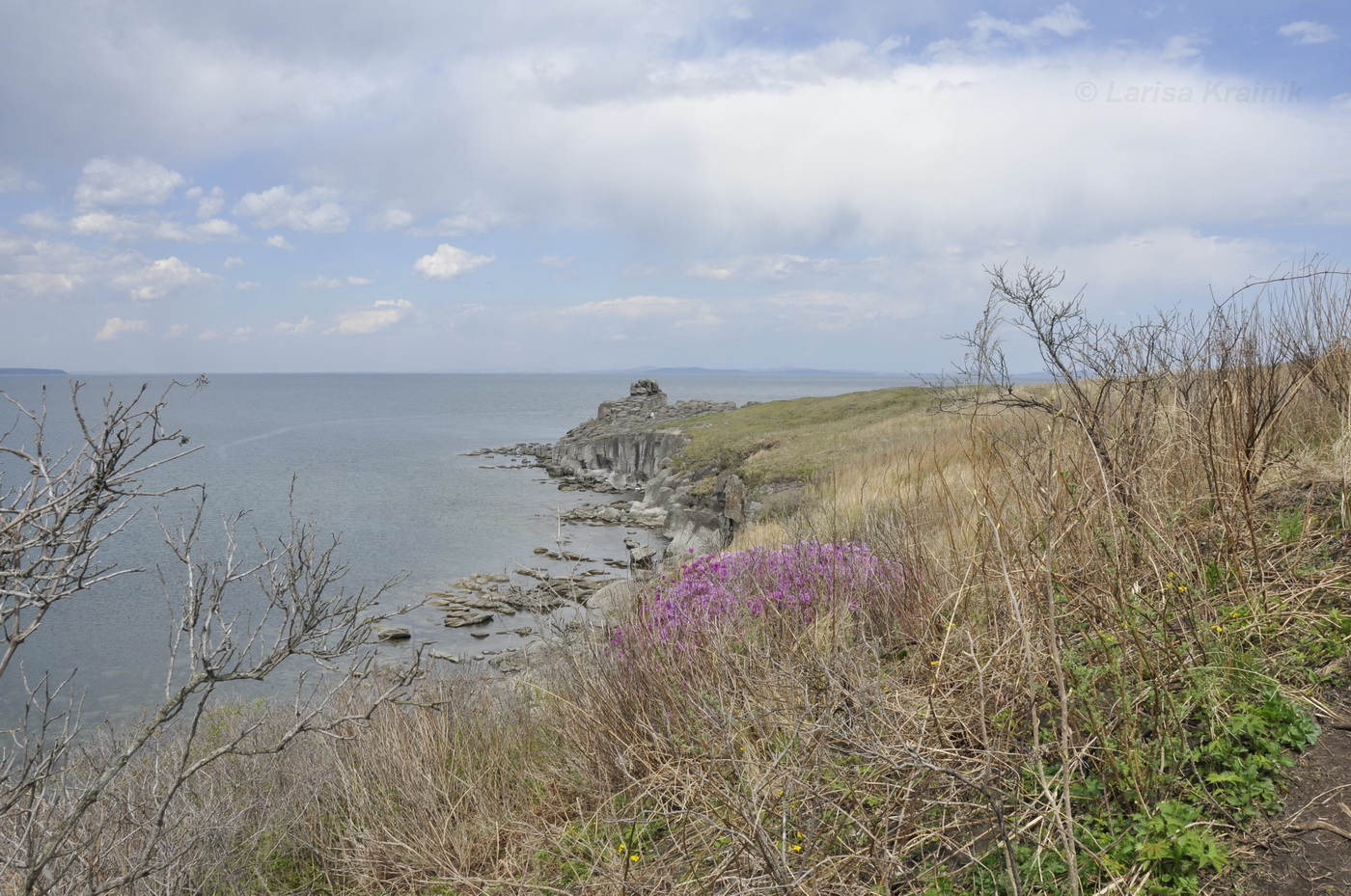 Полуостров Брюса, image of landscape/habitat.