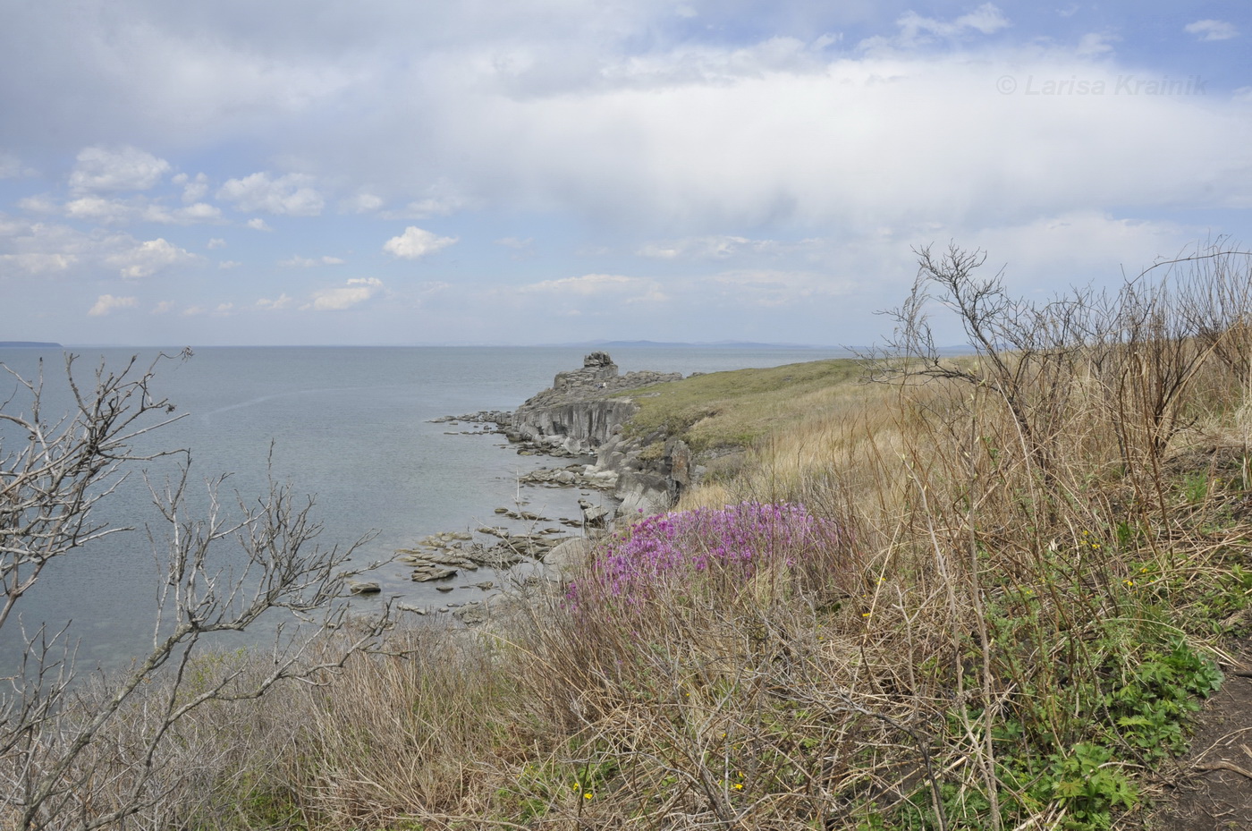 Полуостров Брюса, изображение ландшафта.