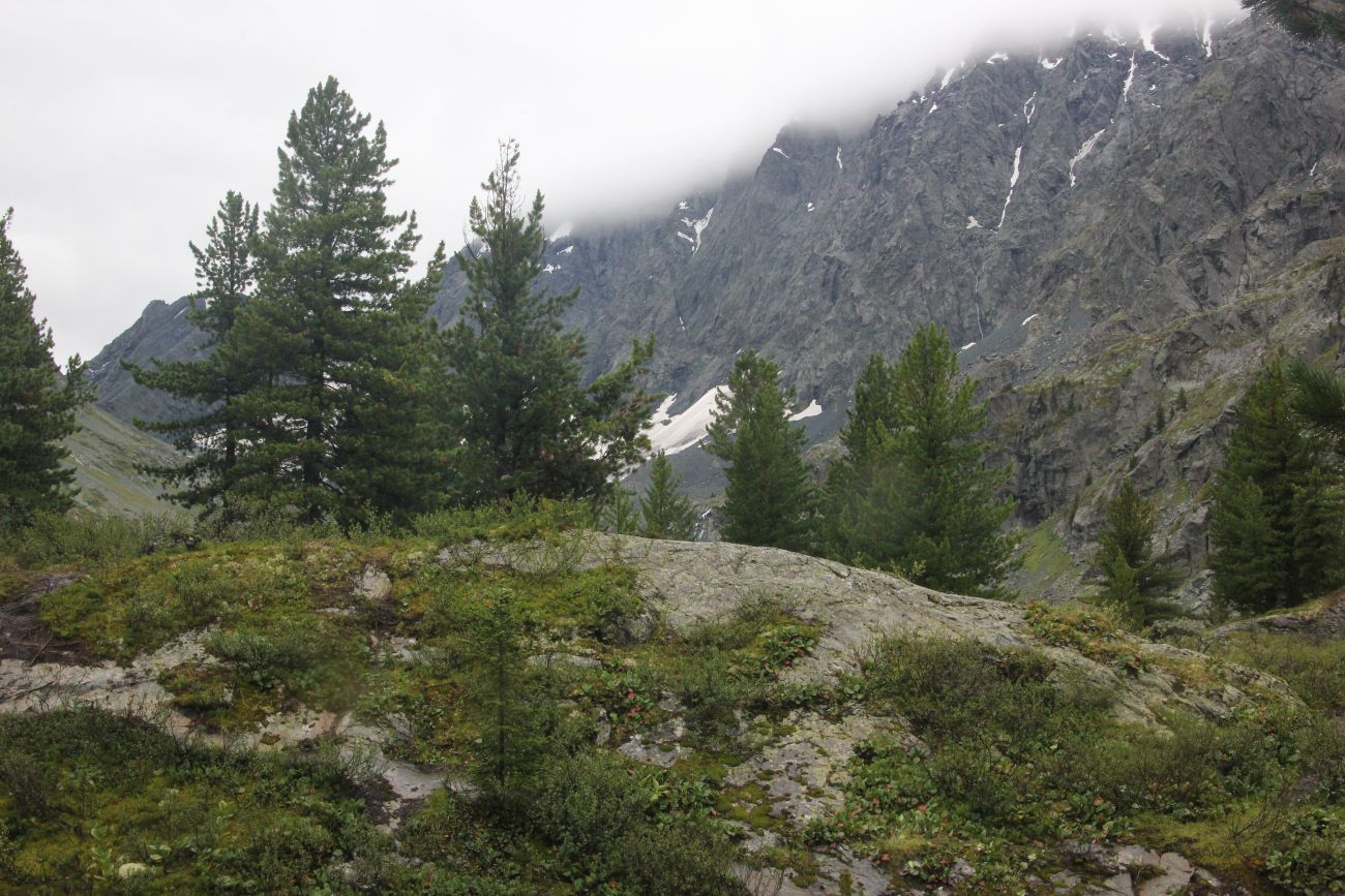 Долина реки Куйгук, image of landscape/habitat.