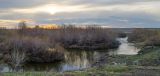 Окрестности Черноречья, image of landscape/habitat.