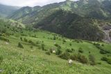 Окрестности урочища Керой, изображение ландшафта.