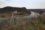 Чернятино, image of landscape/habitat.