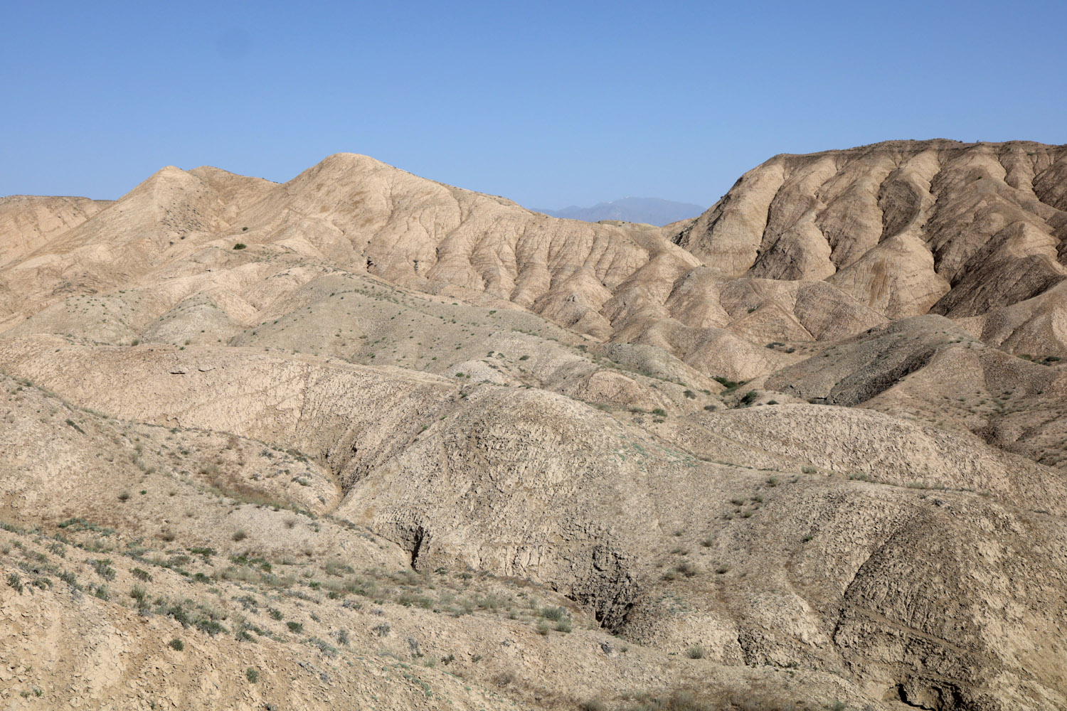 Папские адыры, image of landscape/habitat.