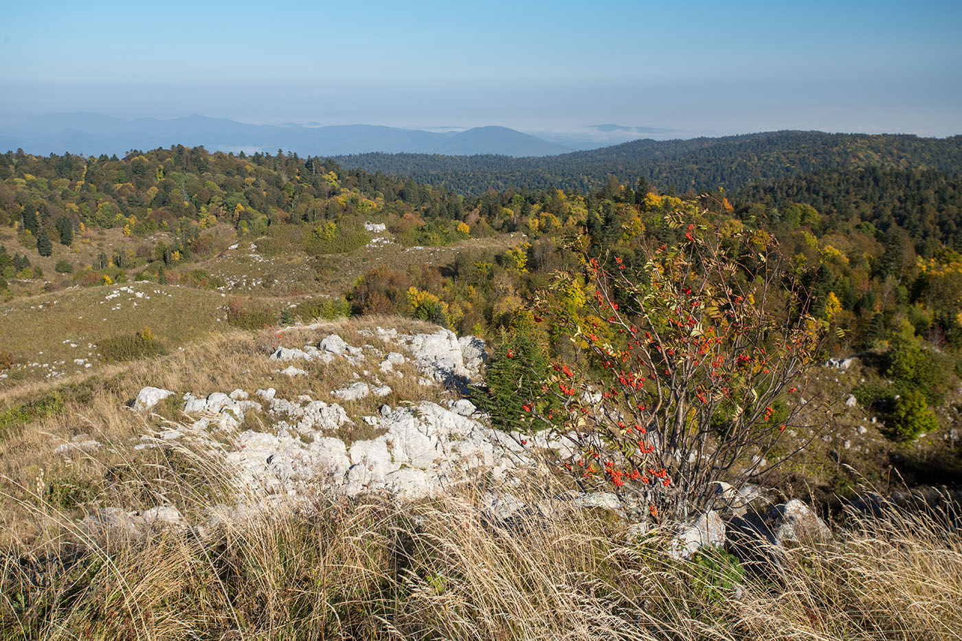 Черногор, изображение ландшафта.