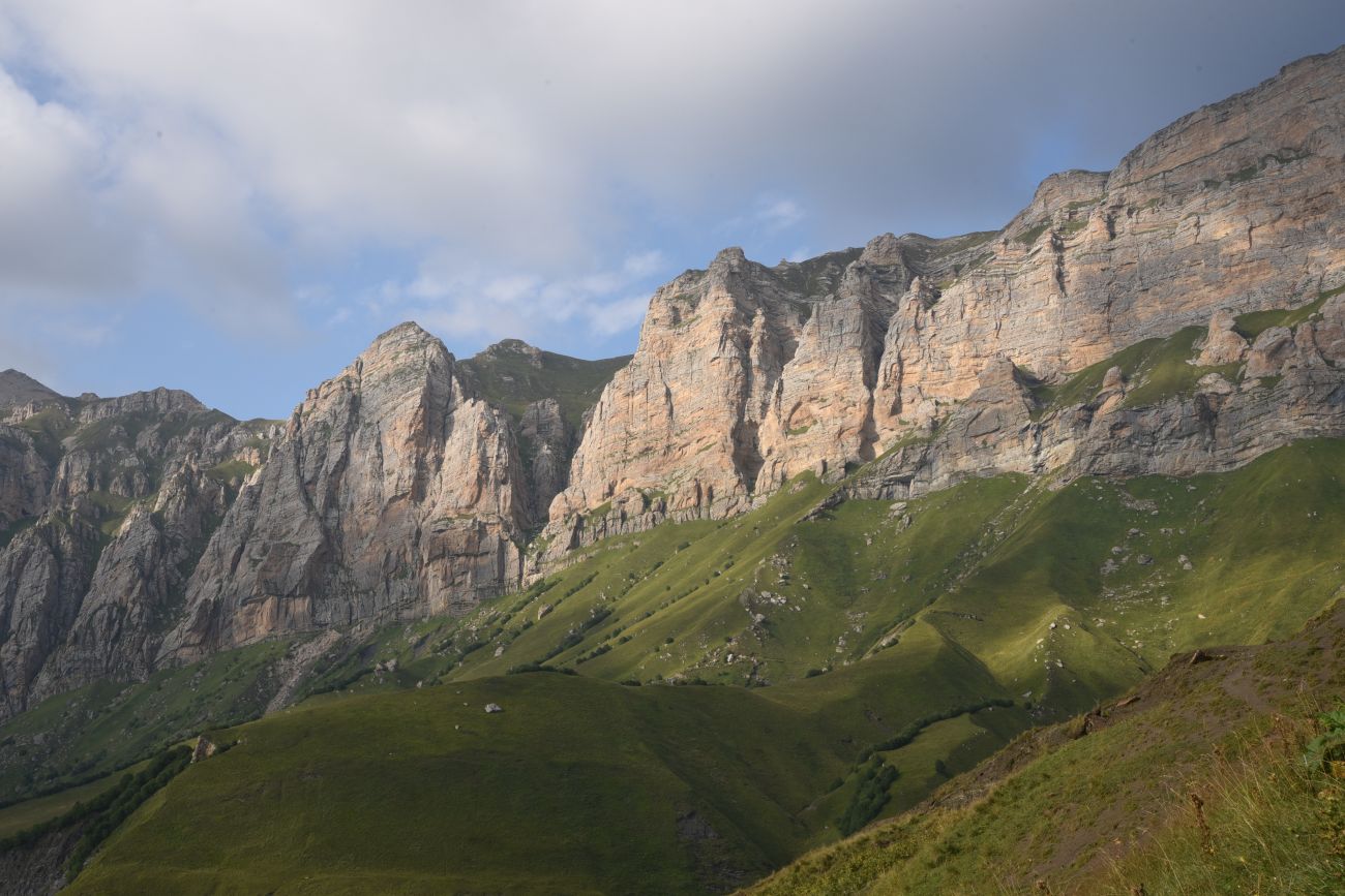 Гора Годобери, image of landscape/habitat.