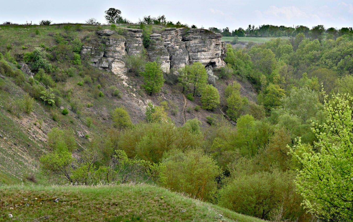 Долина реки Воргол, image of landscape/habitat.