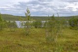 Image of landscape