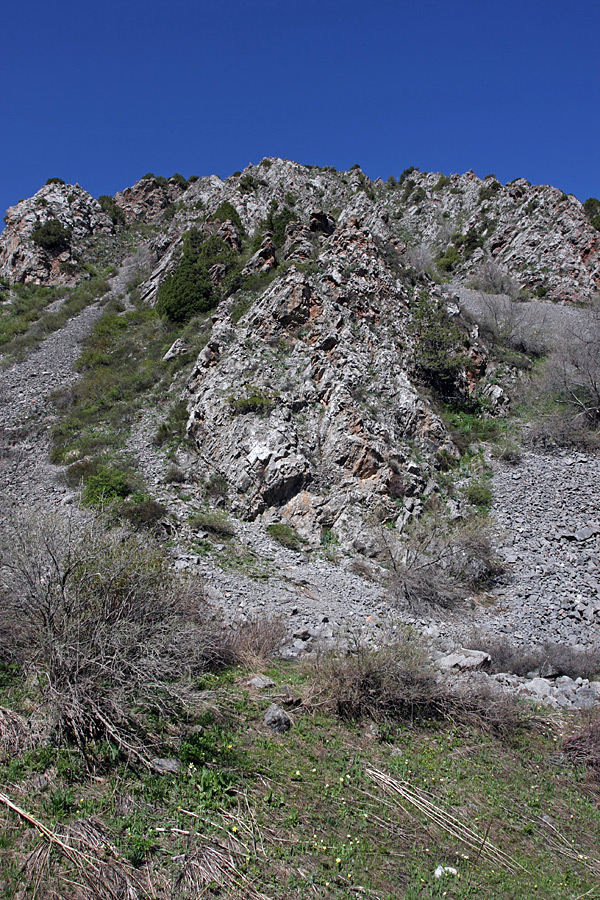 Ущелье Иргайлы, image of landscape/habitat.