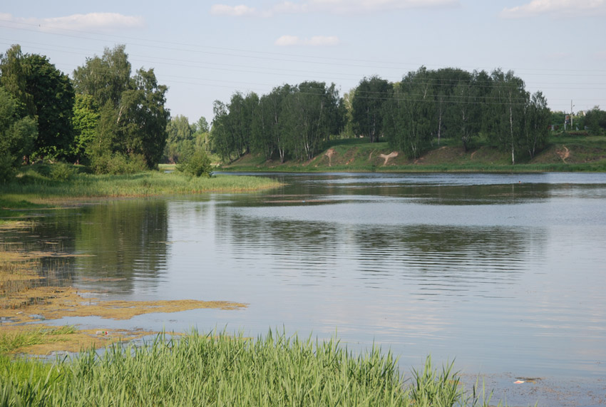 Железнодорожный, image of landscape/habitat.