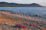 Image of landscape