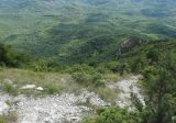 Image of landscape