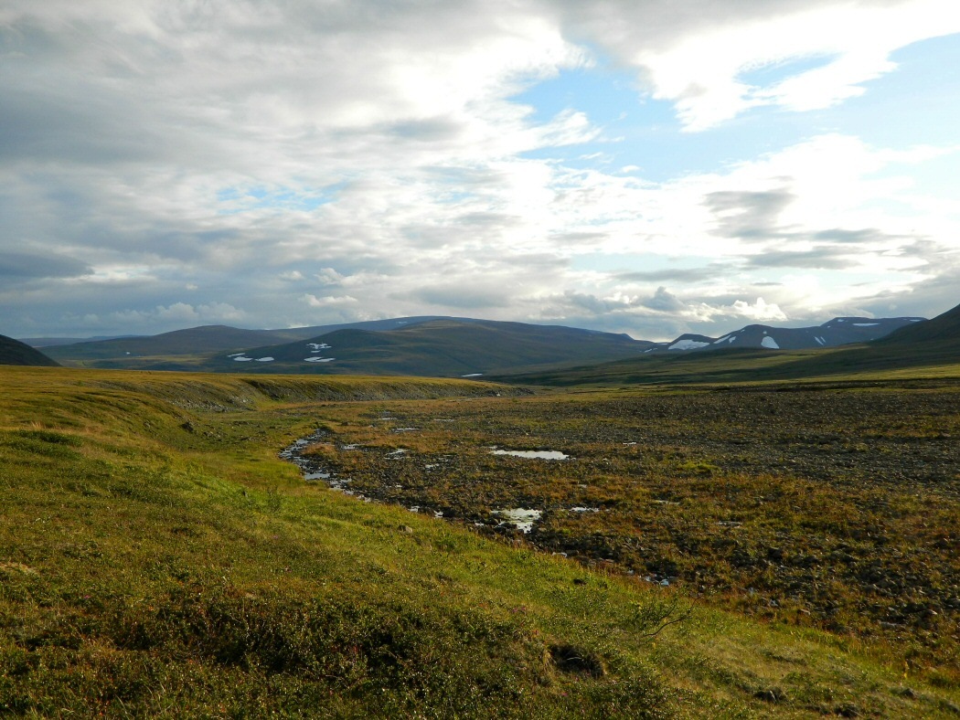 Кершор, image of landscape/habitat.