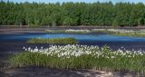 Landscape image