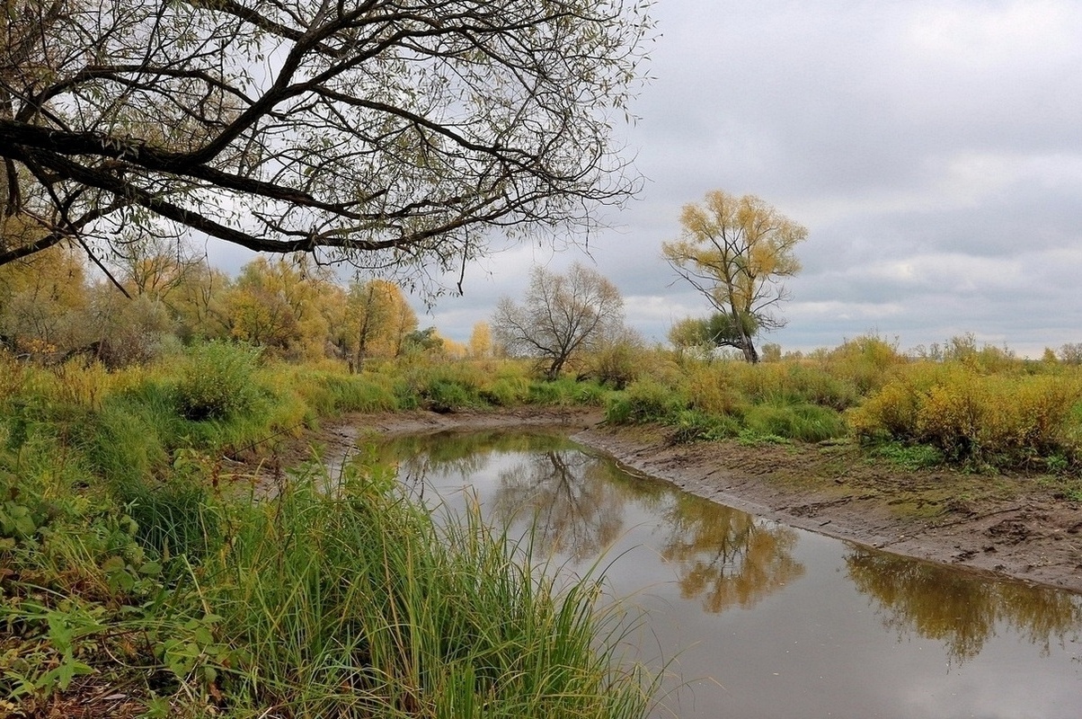 Окрестности села Свиногорье, image of landscape/habitat.